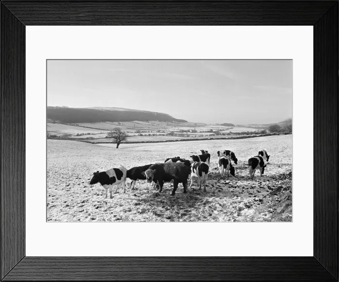 Framed Print : Countryside Scenes, Teesside, North Yorkshire, 2nd January 1980 Framed Print : Countryside Scenes, Teesside, North Yorkshire, 2nd January 1980