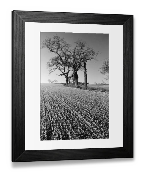 Framed Print : Countryside Scenes, Cleveland, North Yorkshire, 1st February 1980 Framed Print : Countryside Scenes, Cleveland, North Yorkshire, 1st February 1980