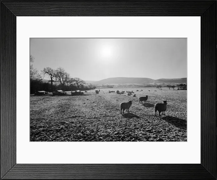 Framed Print : Countryside Scenes, Cleveland, North Yorkshire, 1st February 1980
