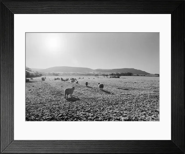 Framed Print : Countryside Scenes, Cleveland, North Yorkshire, 1st February 1980 Framed Print : Countryside Scenes, Cleveland, North Yorkshire, 1st February 1980