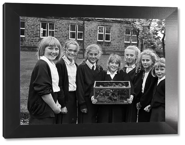 South Crosland Junior School has been collecting 'bug', in more ways than one
