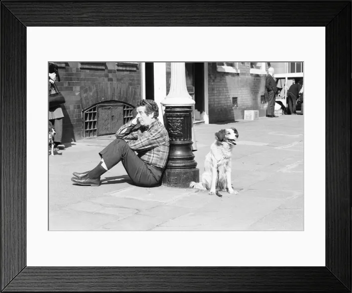 Framed Print : The dog that has to yawn to order. March 27th 1973 An audition took place in Broad Framed Print : The dog that has to yawn to order. March 27th 1973 An audition took place in Broad