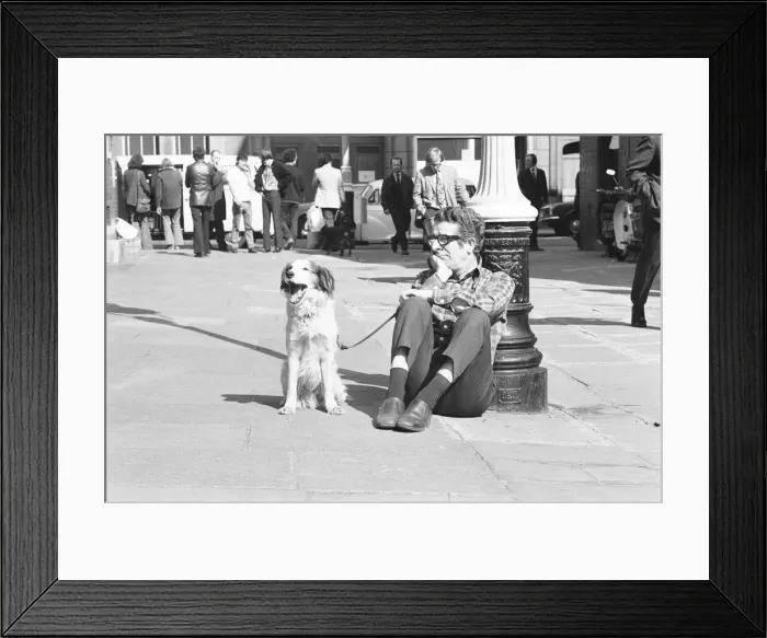 Framed Print : The dog that has to yawn to order. March 27th 1973 An audition took place in Broad Framed Print : The dog that has to yawn to order. March 27th 1973 An audition took place in Broad