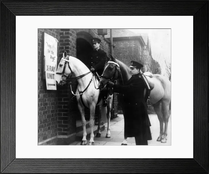 Framed Print : Police horses at an X-ray unit. Hobsons choice wonders what it is all about when Framed Print : Police horses at an X-ray unit. Hobsons choice wonders what it is all about when