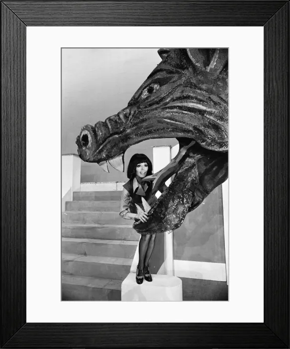Framed Print : Jack and the Beanstalk, Pantomime, Photo-call, Grand Theatre, Wolverhampton Framed Print : Jack and the Beanstalk, Pantomime, Photo-call, Grand Theatre, Wolverhampton