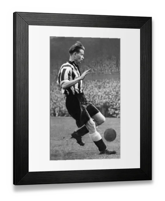 Framed Print : The widow of Toon legend Charlie Crowe says she believes he developed dementia because of Framed Print : The widow of Toon legend Charlie Crowe says she believes he developed dementia because of