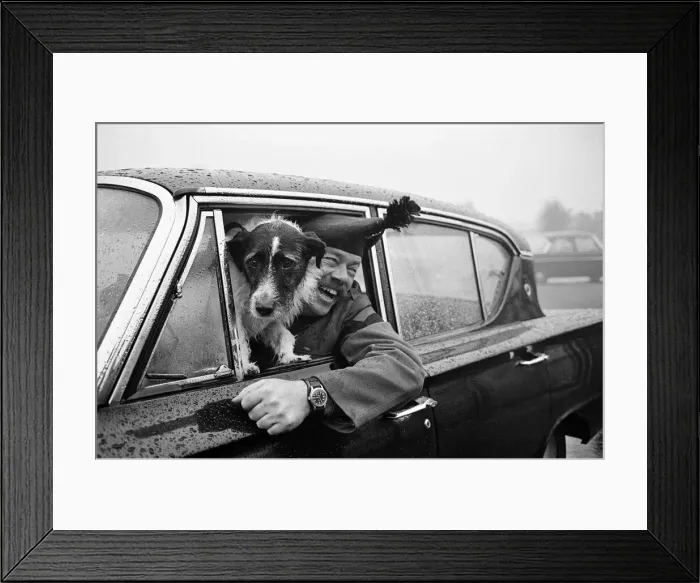 Framed Print : Lance corporal Paddy was promoted Sgt. Paddy, when he was collected Framed Print : Lance corporal Paddy was promoted Sgt. Paddy, when he was collected