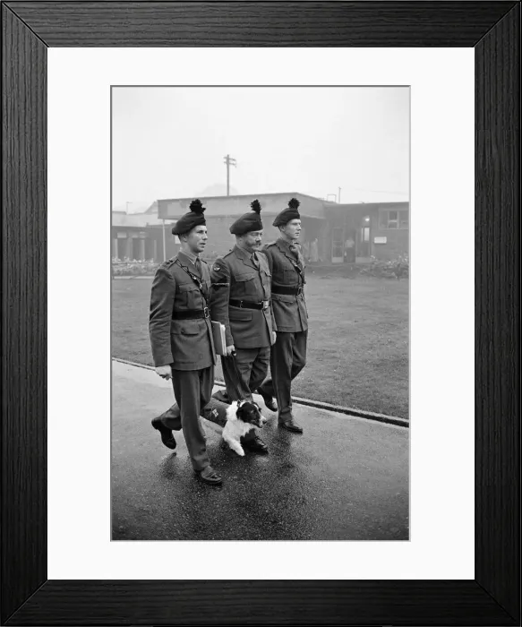 Framed Print : Lance corporal Paddy was promoted Sgt. Paddy, when he was collected Framed Print : Lance corporal Paddy was promoted Sgt. Paddy, when he was collected