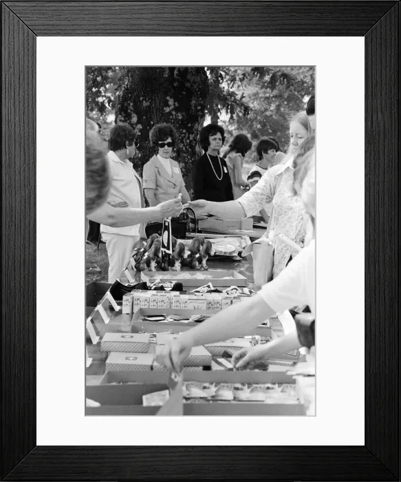 Framed Print : Elvis Presley Fans from Britain, Holland and Denmark browse Framed Print : Elvis Presley Fans from Britain, Holland and Denmark browse