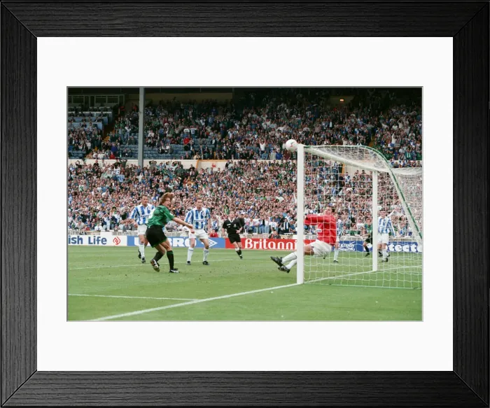 Framed Print : The 1995 Football League Second Division play-off final Framed Print : The 1995 Football League Second Division play-off final