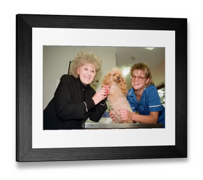 Framed Print : Mrs Beryl Cartmale with one legged poodle Amber and PDSA veterinary nurse Mandy Woodall