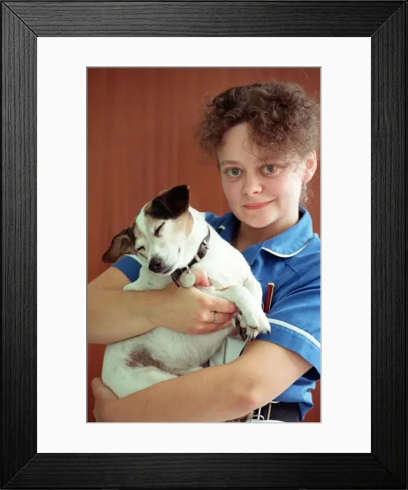 Framed Print : Scenes at the PDSA veterinary surgery in Aston. 23rd July 1992 Framed Print : Scenes at the PDSA veterinary surgery in Aston. 23rd July 1992