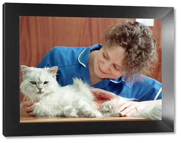 Scenes at the PDSA veterinary surgery in Aston. 23rd July 1992