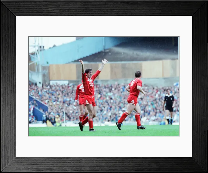 Framed Print : Tottenham 3-2 Middlesbrough, league match at White Hart Lane Framed Print : Tottenham 3-2 Middlesbrough, league match at White Hart Lane