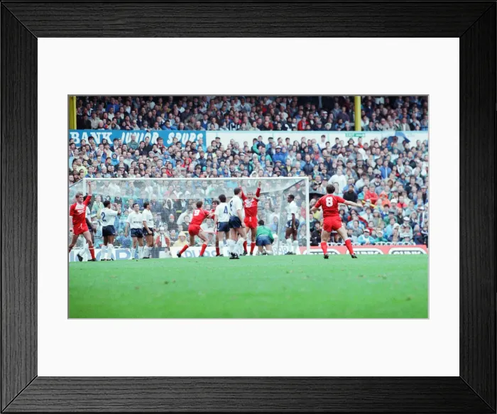 Framed Print : Tottenham 3-2 Middlesbrough, league match at White Hart Lane Framed Print : Tottenham 3-2 Middlesbrough, league match at White Hart Lane