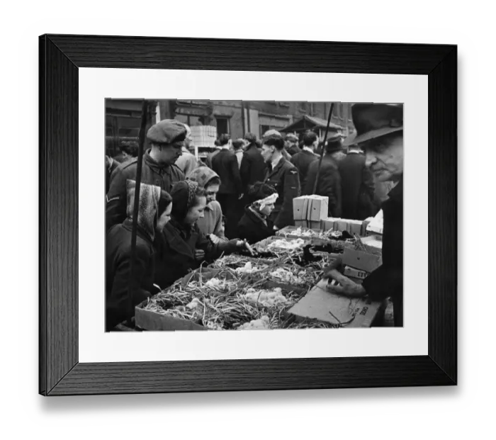 Framed Print : East London Small holders restocking sale. 18th February 1945 East London Framed Print : East London Small holders restocking sale. 18th February 1945 East London