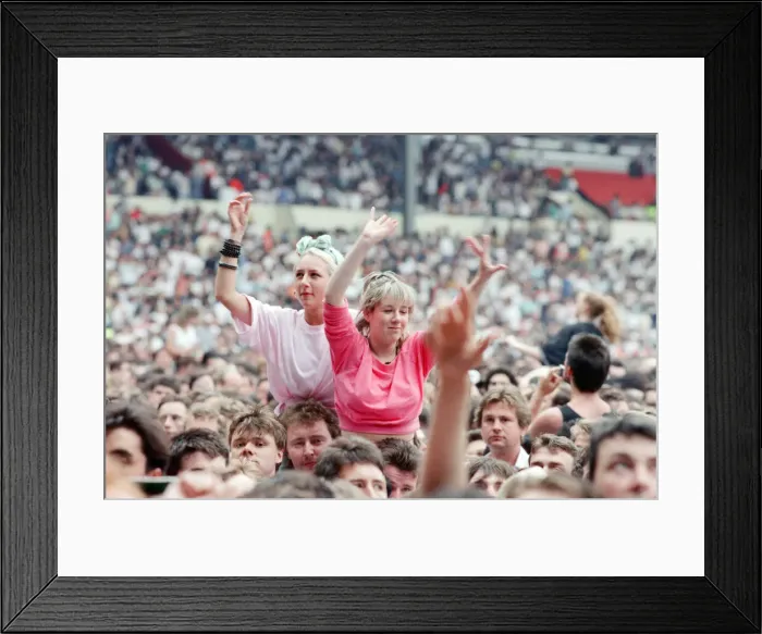 Framed Print : Bruce Springsteen, in concert on his Tunnel of Love Express Tour, Wembley Stadium, London Framed Print : Bruce Springsteen, in concert on his Tunnel of Love Express Tour, Wembley Stadium, London