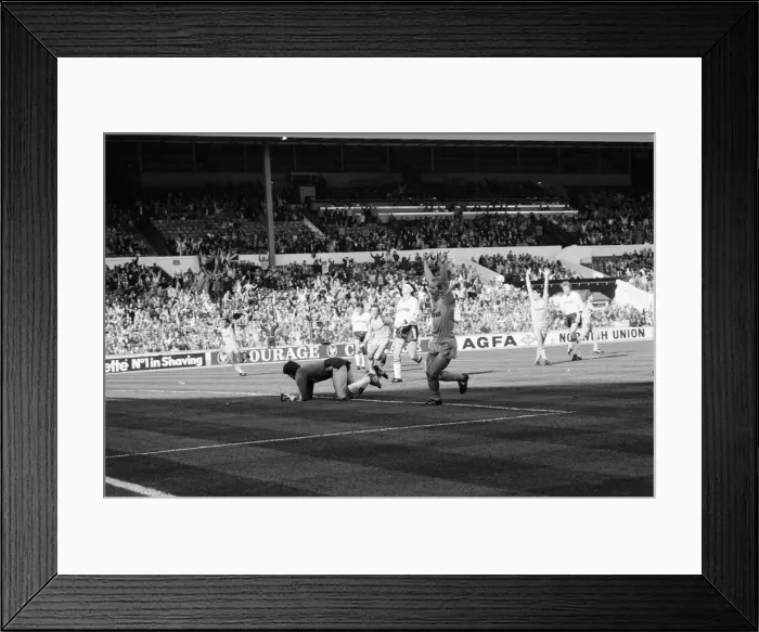 Framed Print : Luton Town 1-4 Reading, 1988 Simod Cup Final, Wembley Stadium, London Framed Print : Luton Town 1-4 Reading, 1988 Simod Cup Final, Wembley Stadium, London