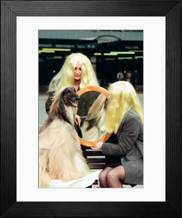 Framed Print : Crufts Dog Show, held at the NEC. 14th March 1995 Framed Print : Crufts Dog Show, held at the NEC. 14th March 1995