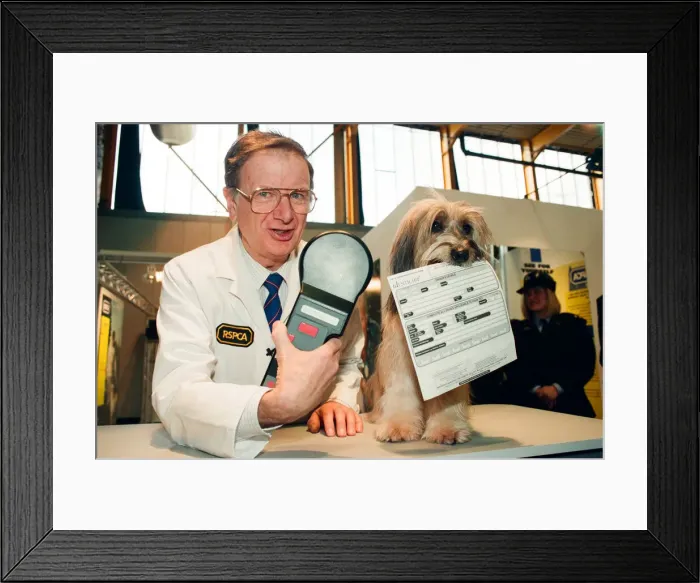 Framed Print : Crufts Dog Show, held at the NEC. 16th March 1994 Framed Print : Crufts Dog Show, held at the NEC. 16th March 1994