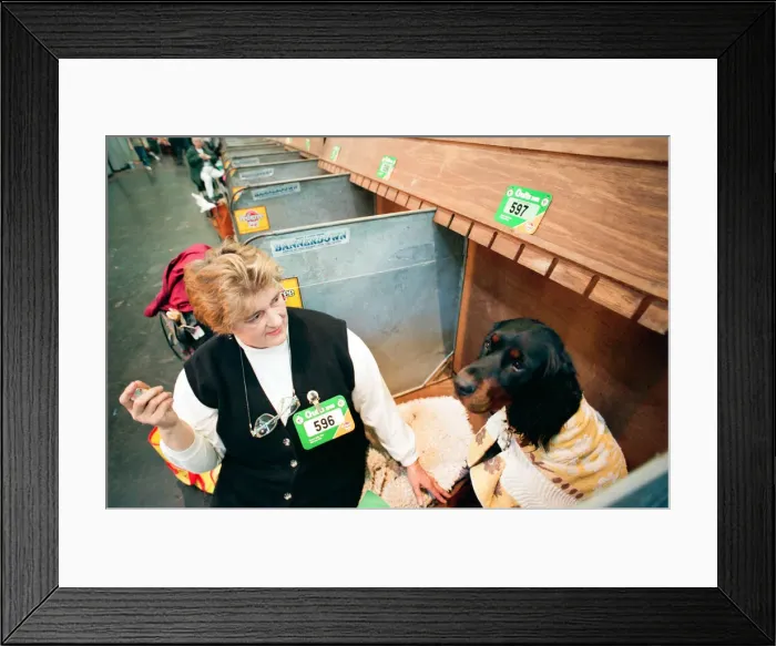 Framed Print : Crufts Dog Show, held at the NEC. 16th March 1994 Framed Print : Crufts Dog Show, held at the NEC. 16th March 1994