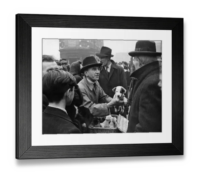 Framed Print : Shoreditch open air livestock market 12th December 1944 The pavement market for Framed Print : Shoreditch open air livestock market 12th December 1944 The pavement market for