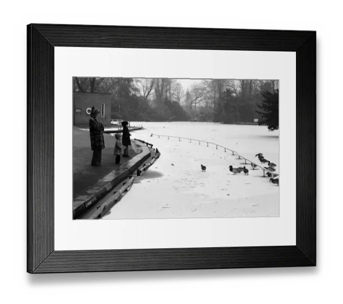 Framed Print : Frozen Lake, Cannon Hill Park, Birmingham, England, 12th February 1978 Framed Print : Frozen Lake, Cannon Hill Park, Birmingham, England, 12th February 1978