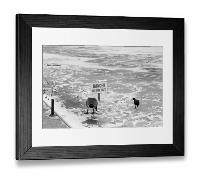 Framed Print : Frozen Lake, Cannon Hill Park, Birmingham, England, 17th February 1986 Framed Print : Frozen Lake, Cannon Hill Park, Birmingham, England, 17th February 1986