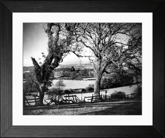 Framed Print : Gisborough Priory. 24th June 1960 Framed Print : Gisborough Priory. 24th June 1960