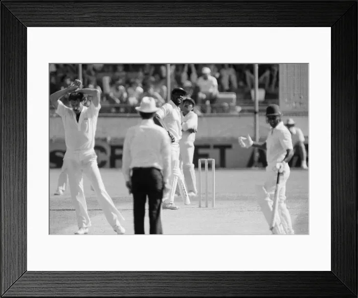 Framed Print : West Indies tour of Australia and New Zealand 1979 - 1980 Framed Print : West Indies tour of Australia and New Zealand 1979 - 1980