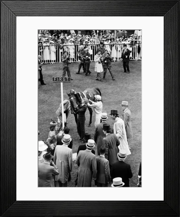 Framed Print : Winner of the Ascot Gold Cup, four year old Paean, ridden by Steve Cauthen