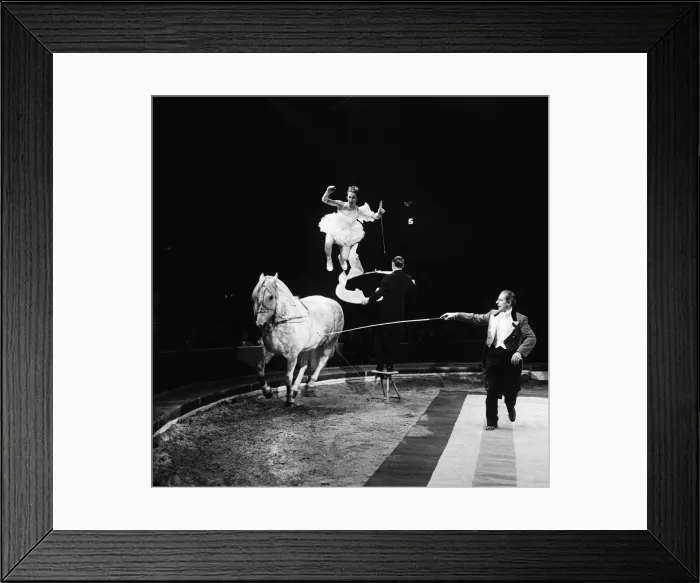 Framed Print : Bertram Mills Circus, a performance with a horse. 19th December 1958