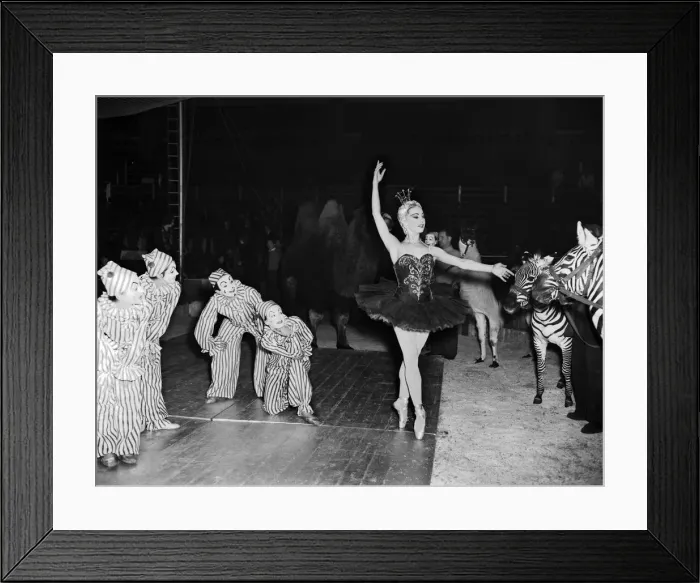 Framed Print : A ballet dancer during a circus rehearsal at Olympia, London, 14th December 1952 Framed Print : A ballet dancer during a circus rehearsal at Olympia, London, 14th December 1952