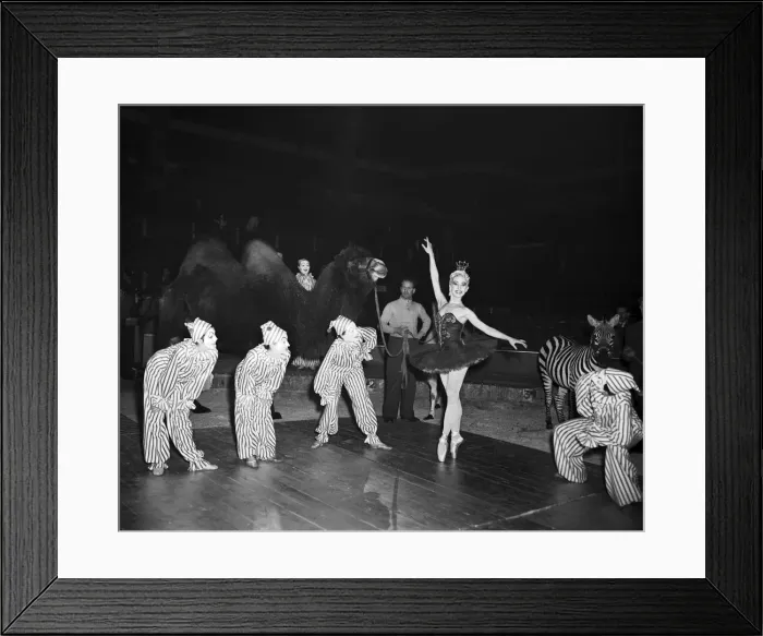 Framed Print : A ballet dancer during a circus rehearsal at Olympia, London, 14th December 1952 Framed Print : A ballet dancer during a circus rehearsal at Olympia, London, 14th December 1952