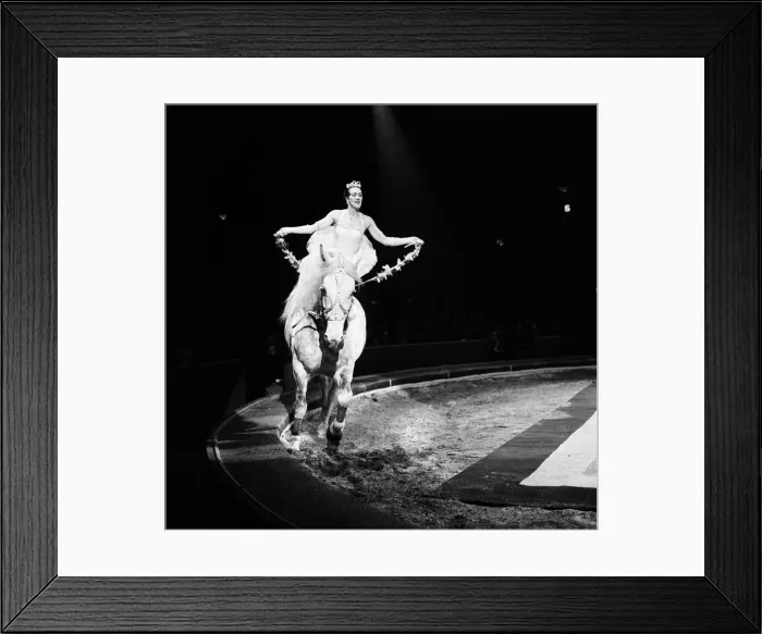 Framed Print : Bertram Mills Circus, a performance with a horse. 19th December 1958