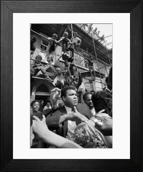 Framed Print : Admires climb scaffolding and occupy every other possible viewpoint to get a glimpse of Framed Print : Admires climb scaffolding and occupy every other possible viewpoint to get a glimpse of