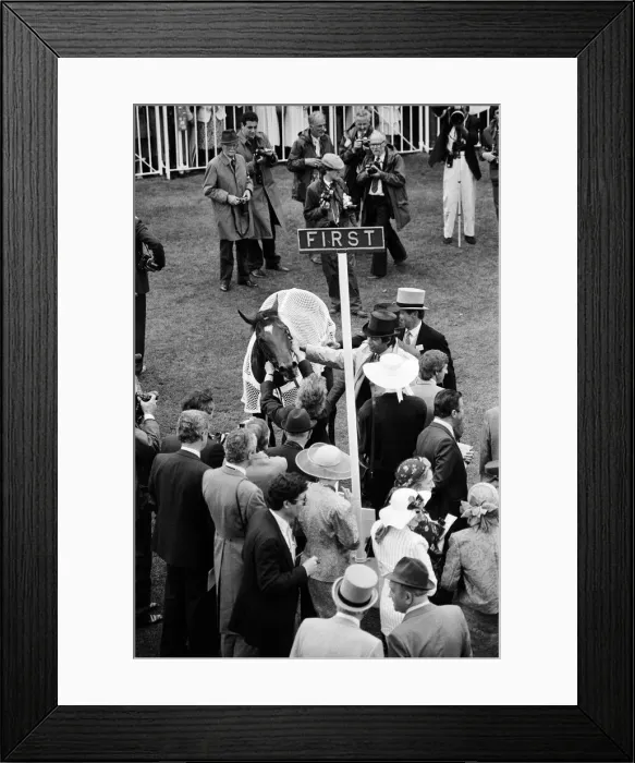 Framed Print : Winner of the Ascot Gold Cup, four year old Paean, ridden by Steve Cauthen Framed Print : Winner of the Ascot Gold Cup, four year old Paean, ridden by Steve Cauthen