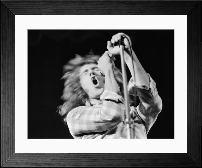 Framed Print : British rock group The Who performing on stage during a concert at the University of