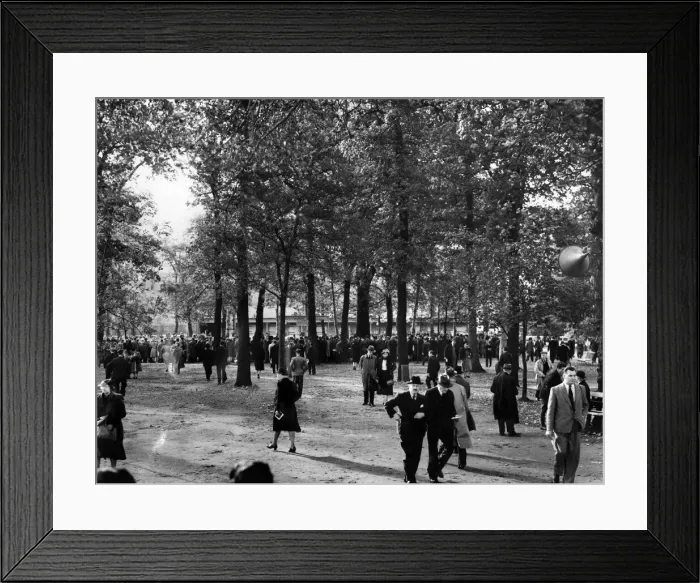 Framed Print : Racing at Haydock Park. Autumn leaves, autumn sunshine and autumn crowds blend to make Framed Print : Racing at Haydock Park. Autumn leaves, autumn sunshine and autumn crowds blend to make