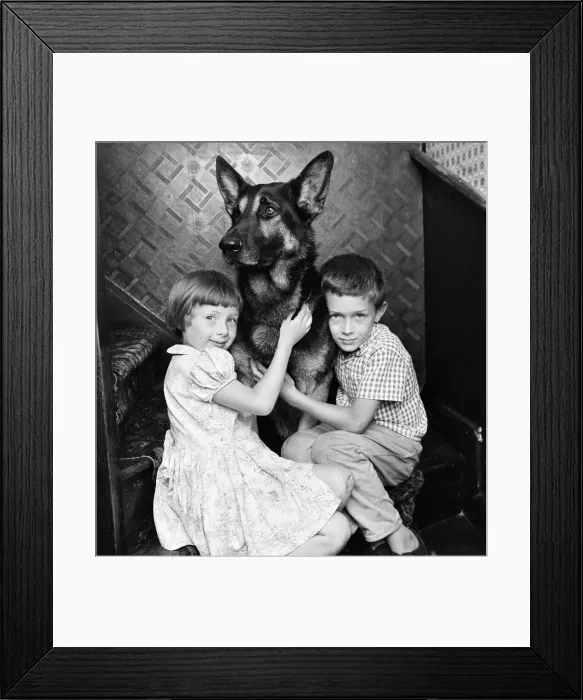 Framed Print : Fee £75 per image up to 1 / 4 page - £95 for 1 / 2 page Schuten Framed Print : Fee £75 per image up to 1 / 4 page - £95 for 1 / 2 page Schuten