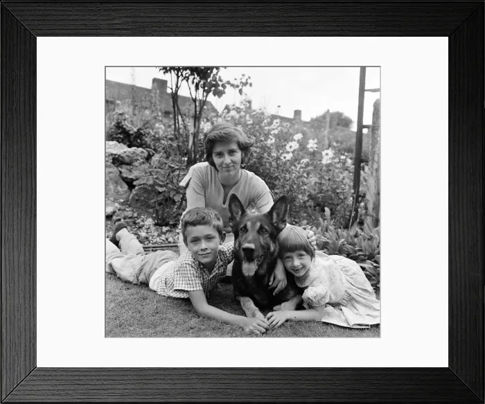 Framed Print : Fee £75 per image up to 1 / 4 page - £95 for 1 / 2 page Schuten Framed Print : Fee £75 per image up to 1 / 4 page - £95 for 1 / 2 page Schuten