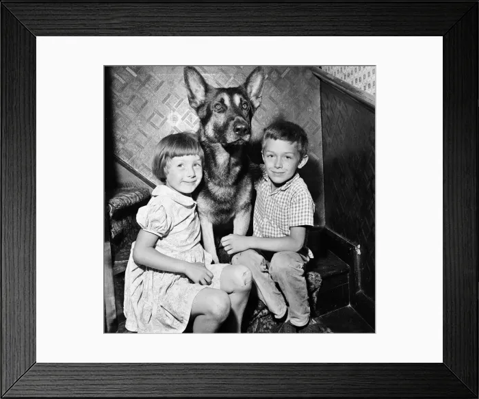 Framed Print : Fee £75 per image up to 1 / 4 page - £95 for 1 / 2 page Schuten Framed Print : Fee £75 per image up to 1 / 4 page - £95 for 1 / 2 page Schuten