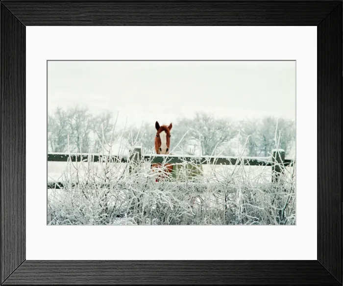 Framed Print : Snow Scenes, Teesside, 22nd February 1994 Framed Print : Snow Scenes, Teesside, 22nd February 1994