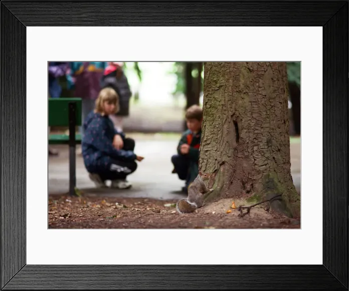 Framed Print : Children looking for squirrels at the Squirrel Hunt, Stewart Park Framed Print : Children looking for squirrels at the Squirrel Hunt, Stewart Park