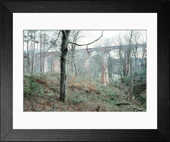 Framed Print : Saltburn Viaduct, Skelton Beck, Tees Valley, 25th March 1991 Framed Print : Saltburn Viaduct, Skelton Beck, Tees Valley, 25th March 1991