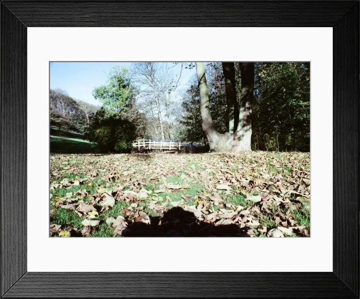 Framed Print : Valley Gardens, Saltburn. 29th October 1990 Framed Print : Valley Gardens, Saltburn. 29th October 1990
