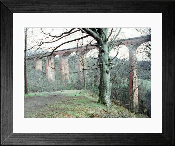 Framed Print : Saltburn Viaduct, Skelton Beck, Tees Valley, 25th March 1991 Framed Print : Saltburn Viaduct, Skelton Beck, Tees Valley, 25th March 1991