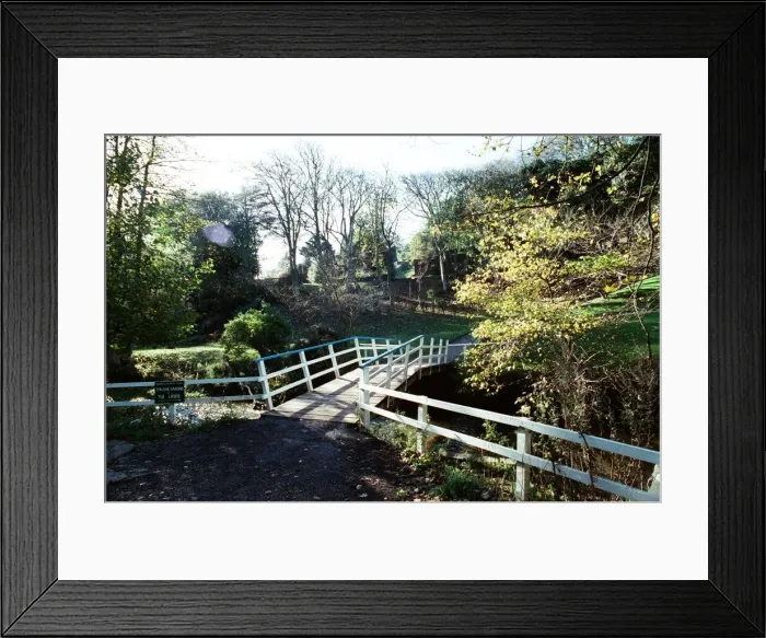 Framed Print : Valley Gardens, Saltburn. 29th October 1990 Framed Print : Valley Gardens, Saltburn. 29th October 1990