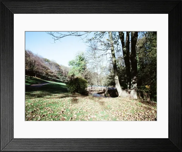 Framed Print : Valley Gardens, Saltburn. 29th October 1990 Framed Print : Valley Gardens, Saltburn. 29th October 1990