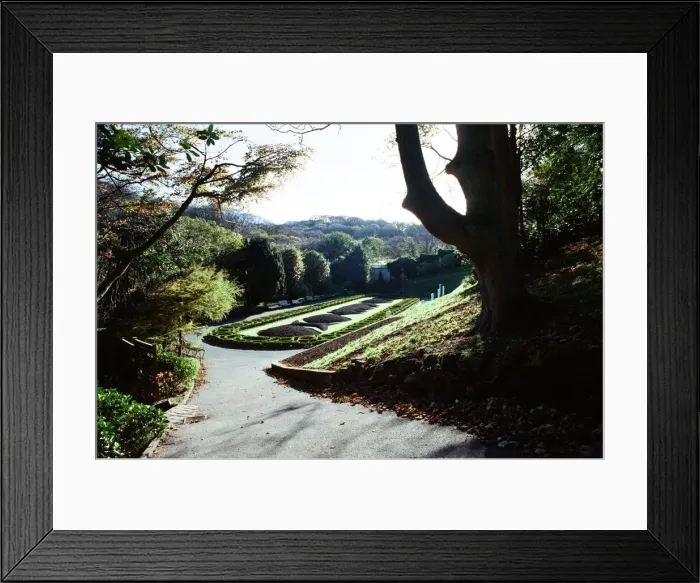 Framed Print : Valley Gardens, Saltburn. 29th October 1990 Framed Print : Valley Gardens, Saltburn. 29th October 1990